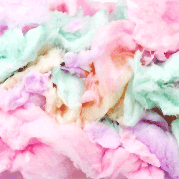 Cotton Candy Machine Rental<br>$49.97 per day