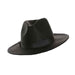 A Black Fedora Hat