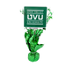 A 14 inch UVU Logo Centerpiece Spray.