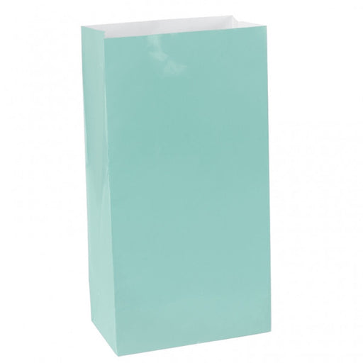 Robin's Egg Blue Mini Paper Bags | 12 ct