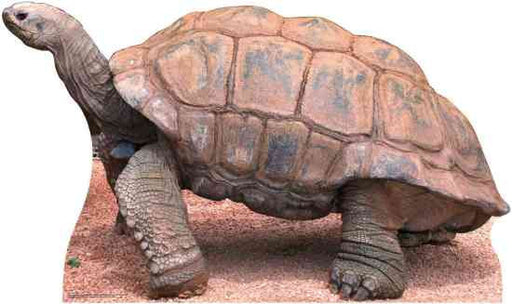 Tortoise Lifesize Standup