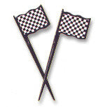 Checkered Flag Picks | 12 ct