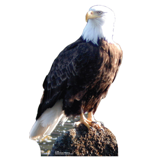 Bald Eagle Lifesize Standup