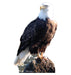 Bald Eagle Lifesize Standup