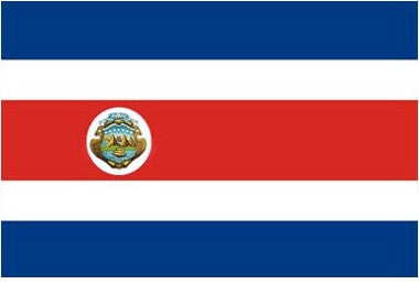 Costa Rica Flag with Stick | 4" x 6"