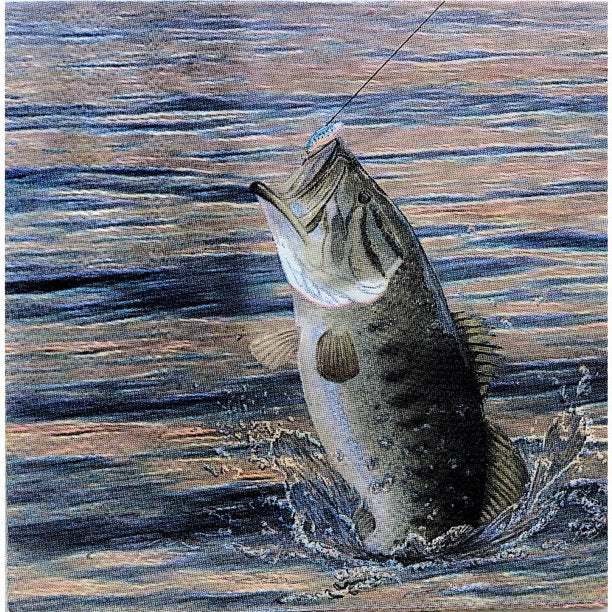 Gone Fishin Beverage Napkins 16pk | 1ct