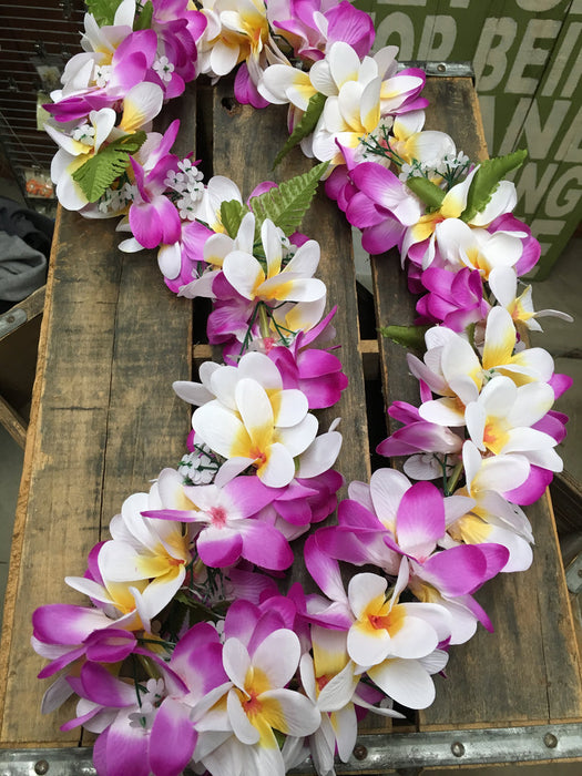 Purple/White & Orange/White Plumeria Lei | 1ct